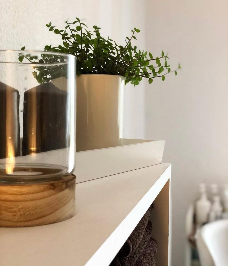 Kerze im Windlicht und Grünpflanze im Regal der Beauty Lounge